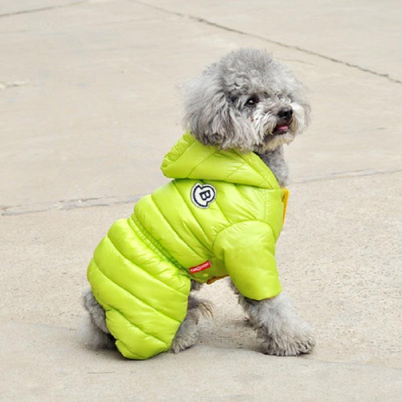 Teddy Jacket for Pomeranian, Bichon & Puppies
