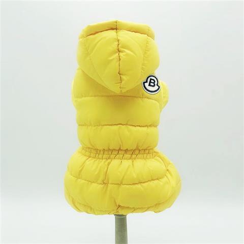 Teddy Jacket for Pomeranian, Bichon & Puppies