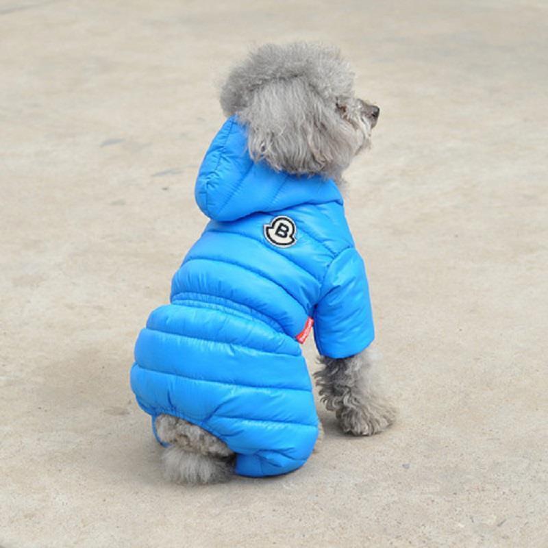 Teddy Jacket for Pomeranian, Bichon & Puppies