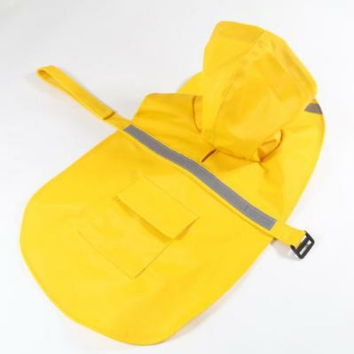 Multi Coloured Dog Raincoats