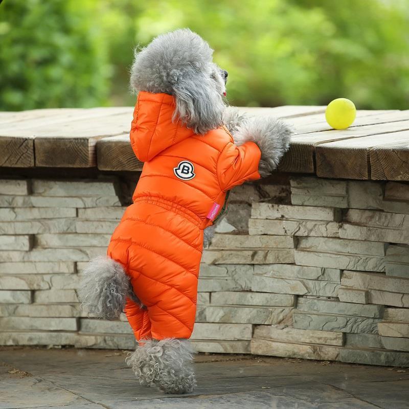 Teddy Jacket for Pomeranian, Bichon & Puppies