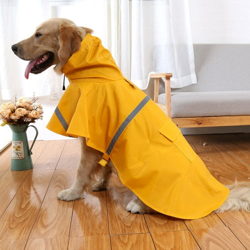 Multi Coloured Dog Raincoats